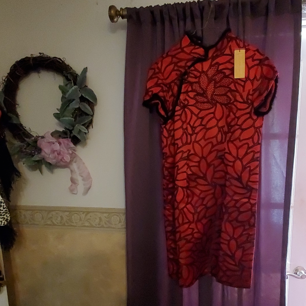 Asian style silk dress